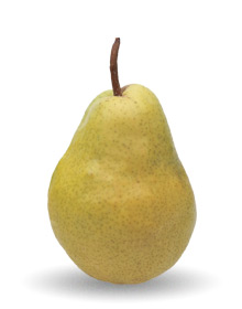 Bartlett