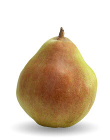 Comice Pear