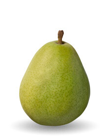 Green Anjou